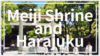 Meiji Shrine and Harajuku